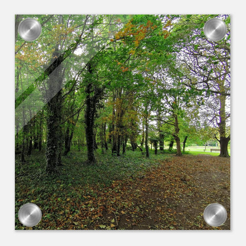 50b2d78d-dceb-49bd-9b34-7cda2fdef7f3