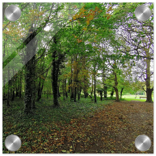 6bd4e948-0813-4b54-b6de-a1b176e53f7a